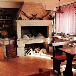 OPG Antunović Kuna Pelješac Konoba Terasa