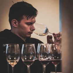 WSET Level 2 - Pelješac Listopad 2025